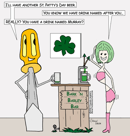 st pattys day other names